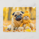 Suche nach pug postkarten Dog