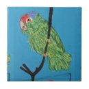 Recherche de perroquet bleu carreaux Perroquets