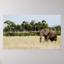 Suche nach wandbehänge poster Fotografie