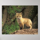 Recherche de kits posters Nature