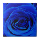 Suche nach blaue rosen fliesen Vintag
