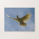 Suche nach parrot puzzle Vogelvogel