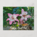 Recherche de lys cartes postales Floral