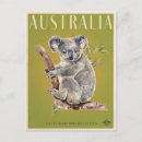 Recherche de koala australie cartes postales Ours