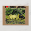 Suche nach südafrika postkarten Tierwelt