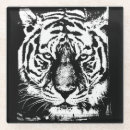 Suche nach weißer tiger untersetzer Wildtiere