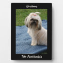 Suche nach terrier fotoplatten Niedlich