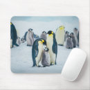 Suche nach baby pinguin mousepads Vogel