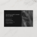 Recherche de profil cheval cartes visite Équestre