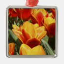 Suche nach tulpe ornamente Gelb