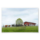 Suche nach rind poster Texas