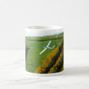 Recherche de solo tasses Café