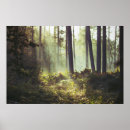 Recherche de rayons de lumière posters Lumière du soleil