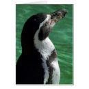 Suche nach pinguinkarte Vogelvogel