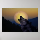 Suche nach wolf mond poster Wolfsmond