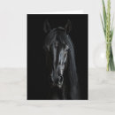 Recherche de cheval noir vœux cartes Amant de cheval