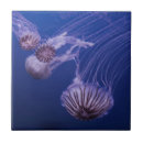 Suche nach quallen fliesen Ozean