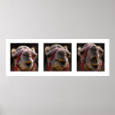 Suche nach camel kunst Spaß