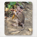 Recherche de petit bébé tapis souris Animal sauvage