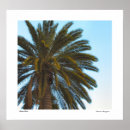 Recherche de palmiers art Ciel