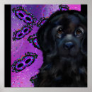 Suche nach hundefutter poster Hundepass