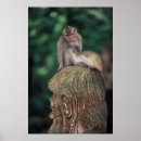 Suche nach ubud poster Indonesien