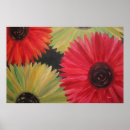 Suche nach brilliant poster Natur
