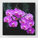 Recherche de orchids horloges Pour tous