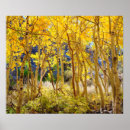 Suche nach aspen poster Herbst