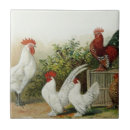 Suche nach vintager hahn fliesen Rot