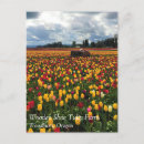 Recherche de champ de tulipe Ferme
