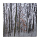 Suche nach winterlandschaft fliesen Natur