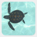 Recherche de espèce marine autocollants Tortue de mer