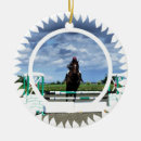 Recherche de de cheval ornements Équin