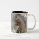 Recherche de de babouin tasses Animal