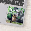 Suche nach eichhörnchen elektronik zubehör Nüsse