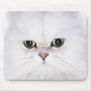 Suche nach weiße persische katze mousepads Niedlich