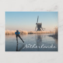 Recherche de roseaux cartes postales Paysage