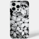 Recherche de fleurs blanches coques Pour tous