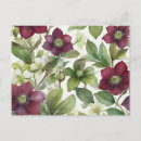 Recherche de freesia cartes postales Fleur