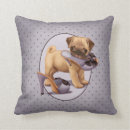 Recherche de de chiot de carlin coussins Chien
