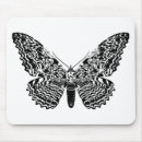 Recherche de mite tapis souris Nature