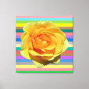 Suche nach regenbogen leinwandbilder Stolz