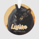 Suche nach cooles weihnachten ornamente Erstelle selbst