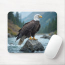 Recherche de rapaces tapis souris Aigle chauve