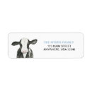 Recherche de anniversaire vache enveloppes accessoires Impression de vache