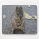 Suche nach australier elektronik zubehör Quokka
