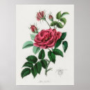 Suche nach alte blumen poster Vintage