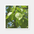 Recherche de bouleau serviettes Nature