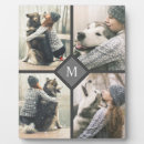 Recherche de domestique photographie Animaux